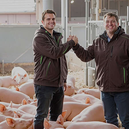 Zwei Bauern stehen in einem Schweinestall und geben sich kumpelhaft die Hand.